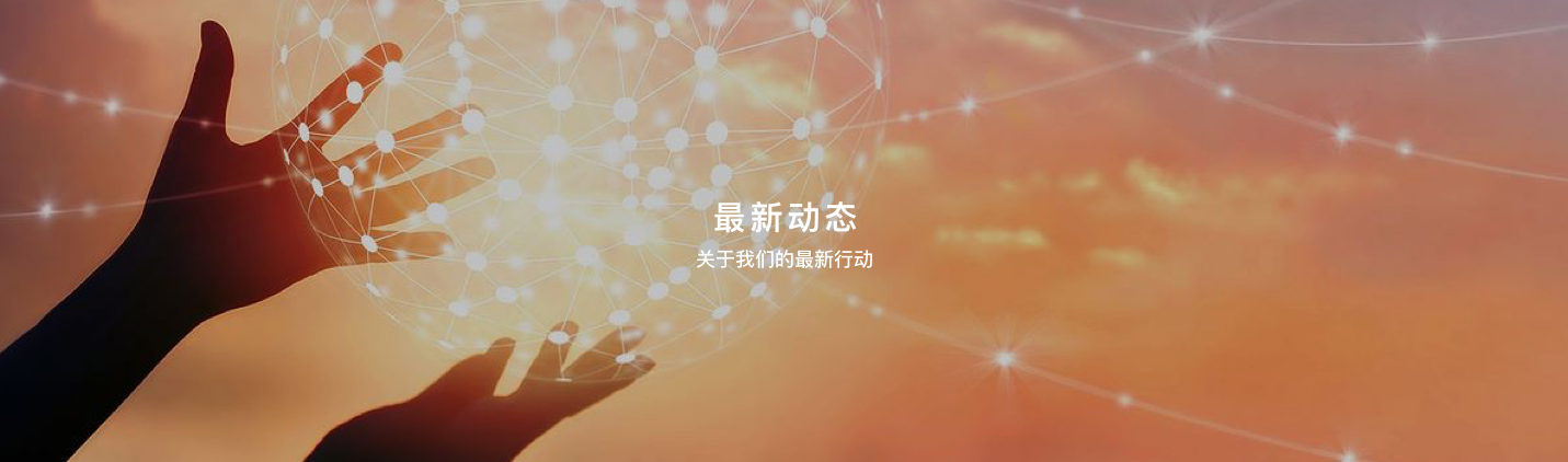 新闻动态