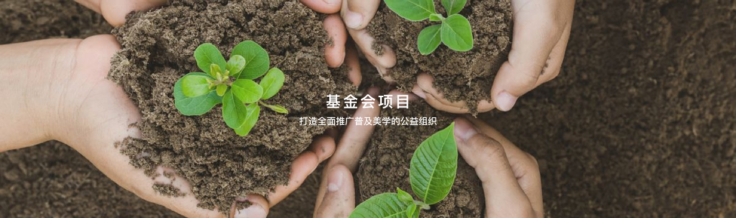 基金会项目